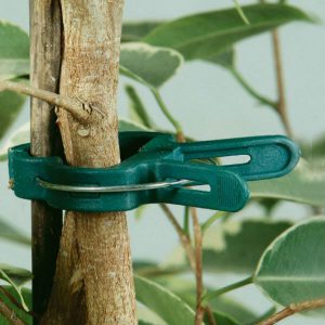 plantenclips