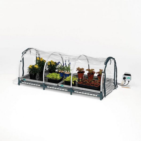 Jumbo propagator Biogreen