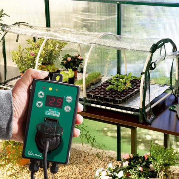 Jumbo propagator Biogreen