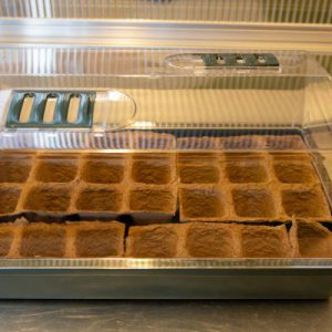 HGA Propagator