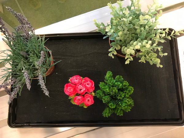 ACD watering tray