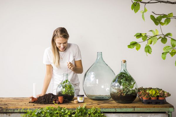 DIY plant terrarium Esschert Design