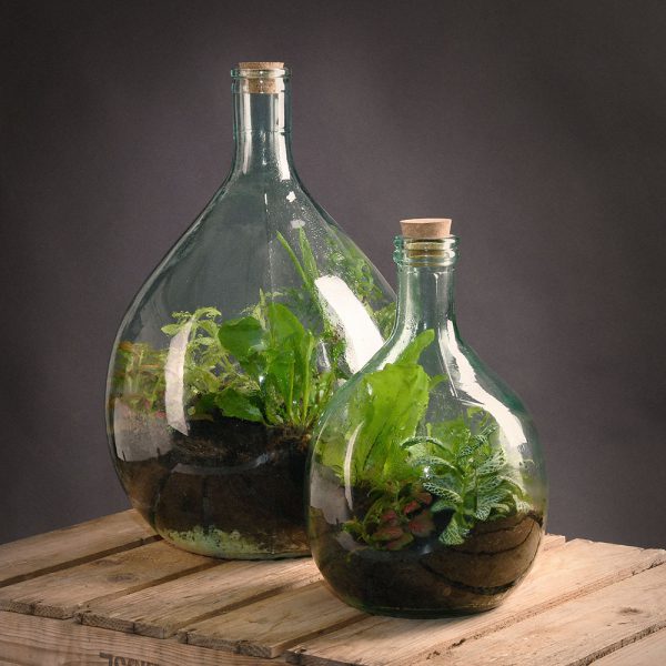 DIY plant terrarium Esschert Design