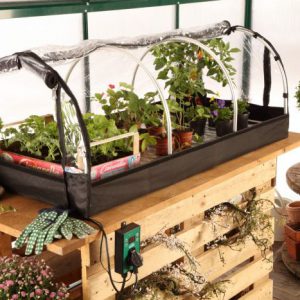 Jumbo propagator