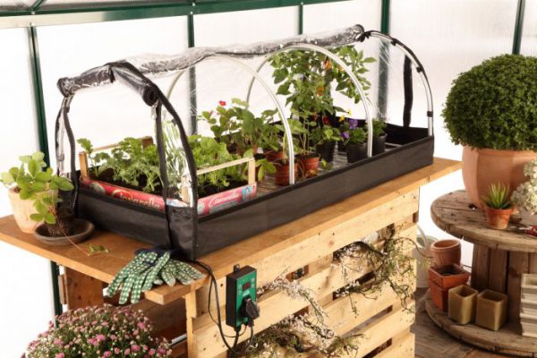 Jumbo propagator