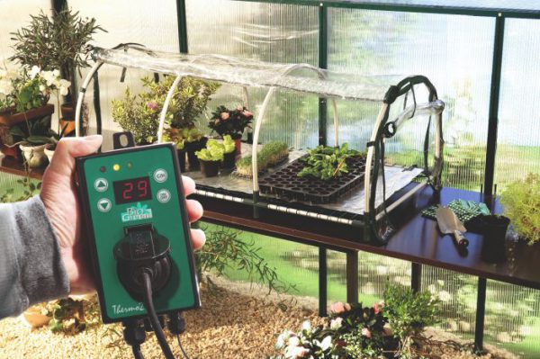 Jumbo propagator