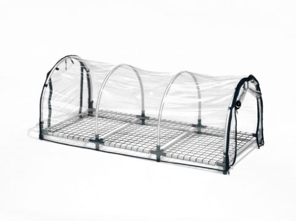 Jumbo propagator