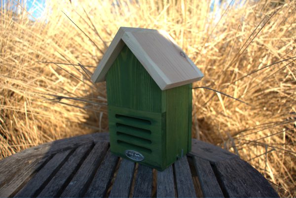 Lieverheersbeestje kast