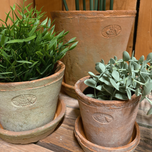 Terracotta bloempot