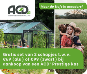 Pop-up Website